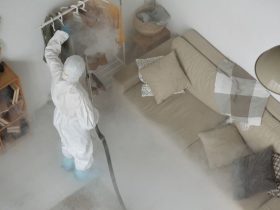 pest control